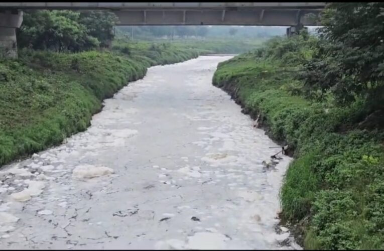 अंकलेश्वर के पास अमलखाड़ी में बारिश के पानी की आड़ में छोड़ा जा रहा है दूषित पानी?