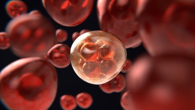 खून में प्लास्टिक कण पहुँचने पर कैंसर का खतरा: पद्मश्री वैज्ञानिक का दावा