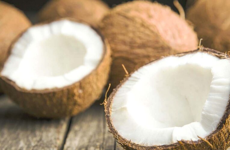 विश्व नारियल दिवस: नारियल उत्पादन में गुजरात की बड़ी छलांगः एक दशक में बुवाई क्षेत्र में लगभग 4500 हेक्टेयर की हुई वृद्धि