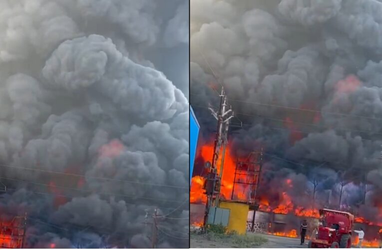 नासिक के सिनर एमआईडीसी स्थित एक कंपनी में लगी भीषण आग