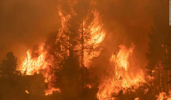 Wildfire: चिली के जंगलों में लगी आग से मरने वालों की संख्या बढ़कर 131 हुई