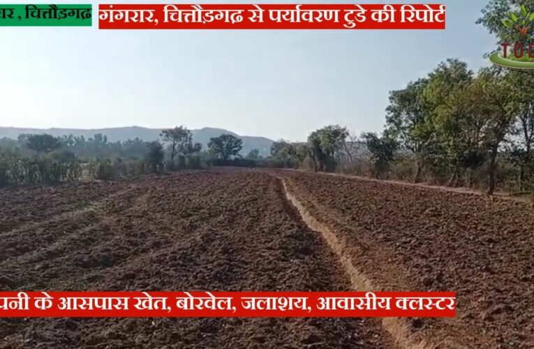 अन्नदाता की मन की बात: चित्तौड़गढ़ के चौगावडी गांव के किसानों ने बताया अपनी बर्बाद हो रही फसल का चौंकाने वाला कारण