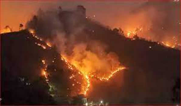 जम्मू-कश्मीर की जबरवान पहाड़ियों में लगी भीषण आग