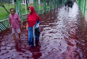 ઇન્ડોનેશિયામાં પૂરમાં લાલ પાણી આવ્યું હોવાની તસ્વીરો વાયરલ