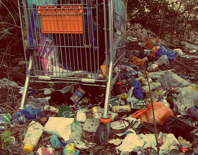 લૉકડાઉનમાં મુંબઈમાં રોજનો ૫૦૦ મેટ્રિક ટન કચરો ઘટ્યો