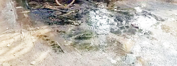ગાંધીનગરના સેક્ટર-૨૫માં ગંદકીનું સામ્રાજ્ય ગટરના પાણી ફરી વળ્યા
