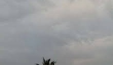 દિલ્હીમાં જોરદાર પવન વચ્ચે વરસાદની આગાહી : યલો એલર્ટ જારી