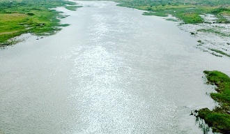 કેમિકલ વેસ્ટ નિકાલના કારણે વિશ્વામિત્રી નદી થઇ પ્રદુષિત