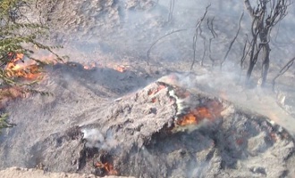 ટિકર ગામે ખેડુતે નકામું ઘાસ સળગાવતા આગની ચપેટમાં પાંચ ઝુંપડા, બાઈક સળગ્યું