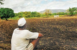 ફરી ગુજરાતમાં કમોસમી વરસાદથી ખેડૂતો ચિંતિત થયા