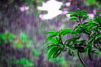 વરસાદ અપડેટઃ ઇડરમાં સૌથી વધુ ૫ ઇંચથી વધુ વરસાદ, રાજ્યના ૬ તાલુકાઓમાં ૪ ઇંચથી વધુ વરસાદ