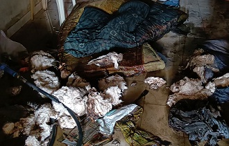 પાટણમાં રહેણાંક મકાનમાં શોર્ટ સર્કિટના લીધે આગ લાગી