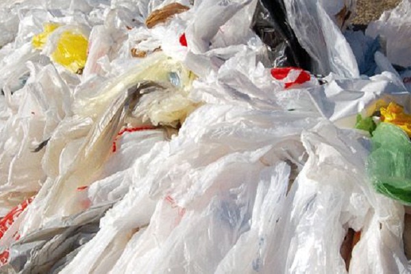 જામનગર મનપાની સોલિડ વેસ્ટ શાખાએ ૨૦ કિલો પ્રતિબંધિત પ્લાસ્ટિકનો જથ્થો ઝડપી પાડ્યો