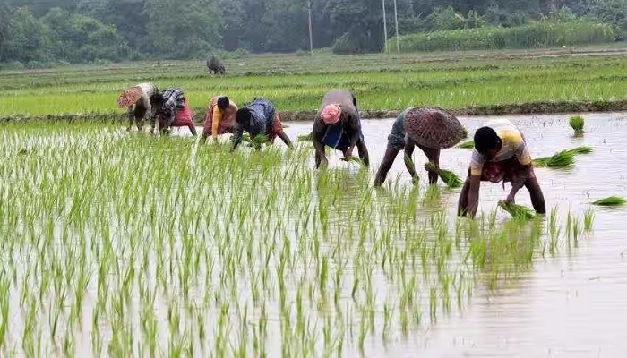 ગુજરાત રાજ્યના ખેડૂતોના માથે હજુ પણ માવઠાનું સંકટ હજુ રહેશે યથાવત