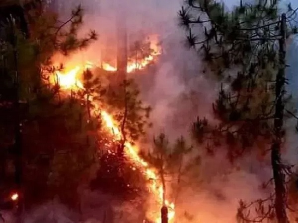 કાળઝાળ ગરમી અને ભારે પવનને કારણે ઉત્તરાખંડના જંગલોમા આગ લાગી હતી