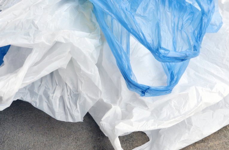 પ્લાસ્ટિક બેગના વિકલ્પ તરીકે શું વાપરી શકાય ? ચાલો જાણીએ…