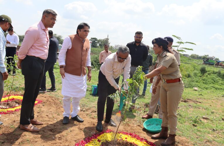 દબાણો દૂર કરી ૩ હેક્ટર જેટલા વિસ્તારમાં અંદાજે ૪૮૦૦ રોપાના વાવેતરનો પ્રારંભ